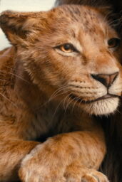 Mufasa The Lion King