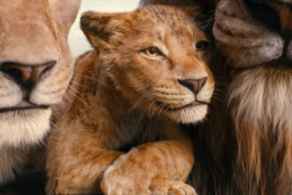 Mufasa The Lion King