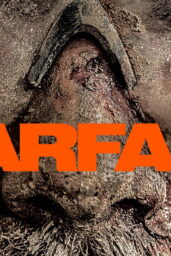 warfare