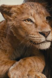 Mufasa The Lion King