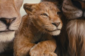 Mufasa The Lion King