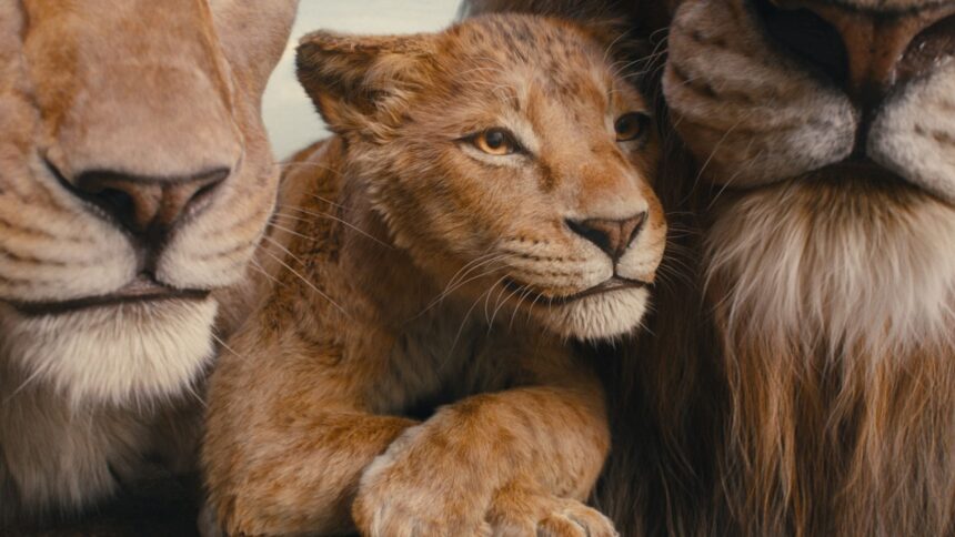 Mufasa The Lion King