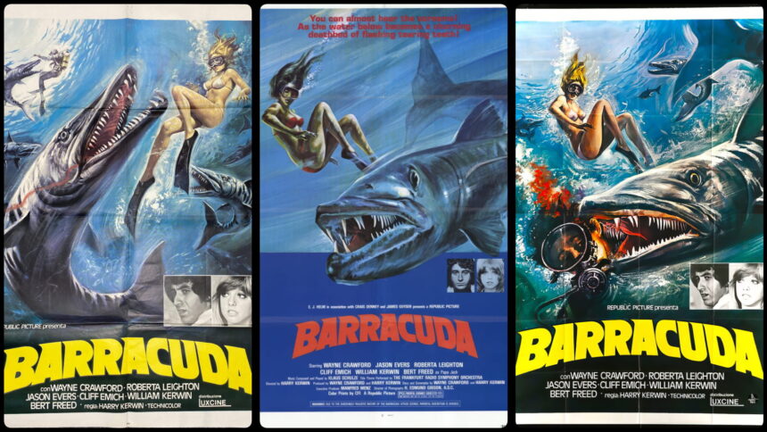 Baracuda Posters