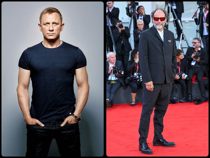 Daniel Craig Luca Guadagnino