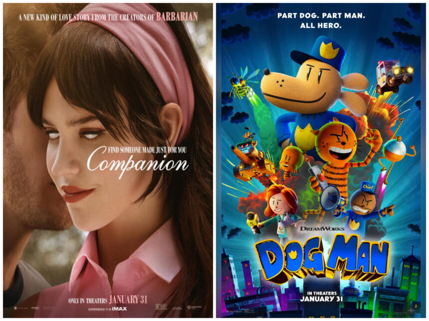 Dog Man vs Companion Box Office
