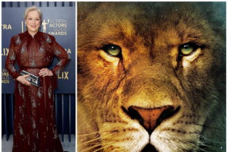 Meryl Streep’s Shocking ‘Narnia’ Role – Why It’s Genius