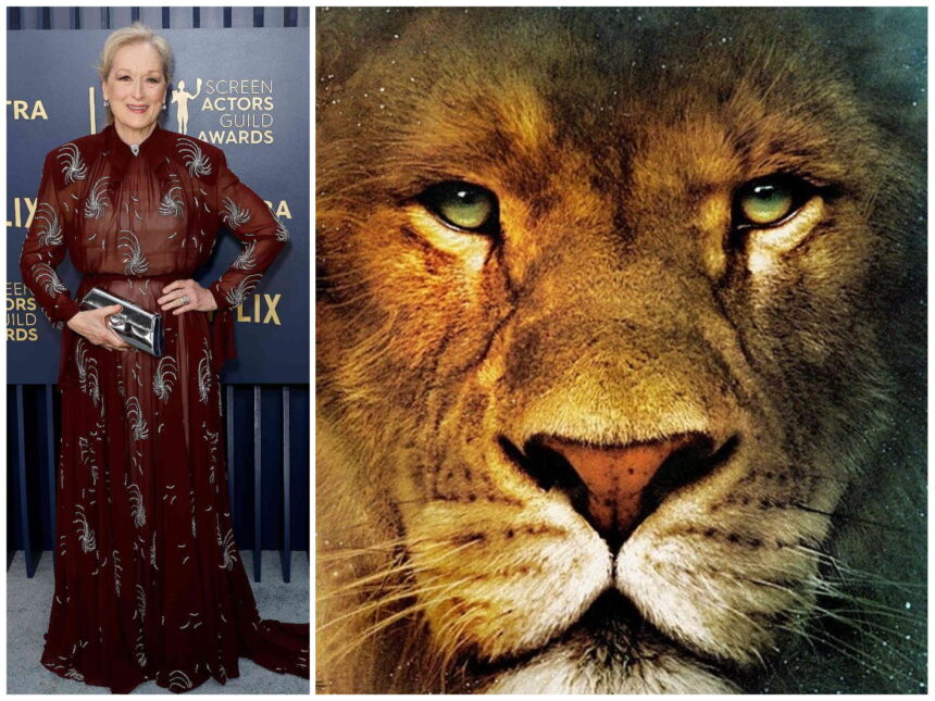 Meryl Streep’s Shocking ‘Narnia’ Role – Why It’s Genius