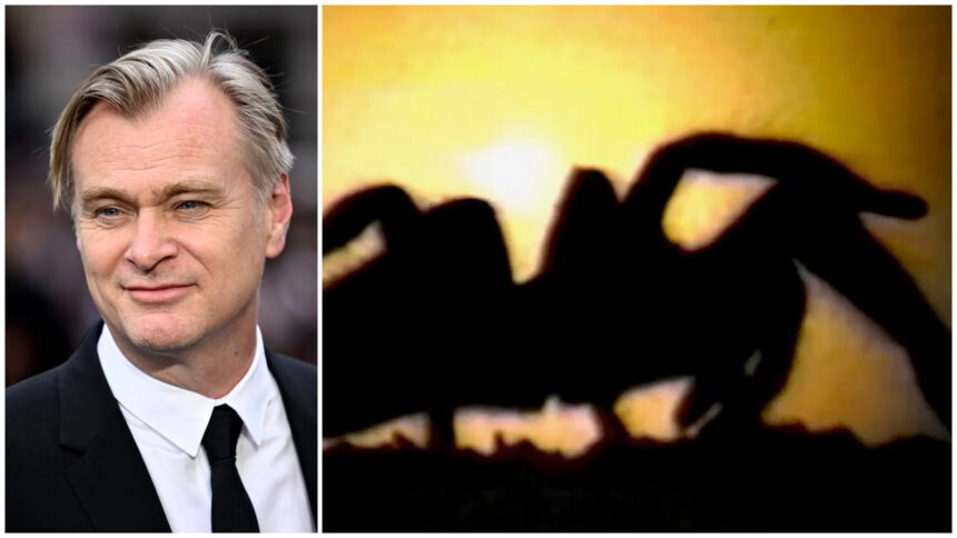 Christopher Nolan Tarantella