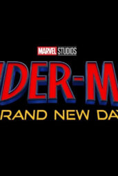 Spider Man Brand New Day