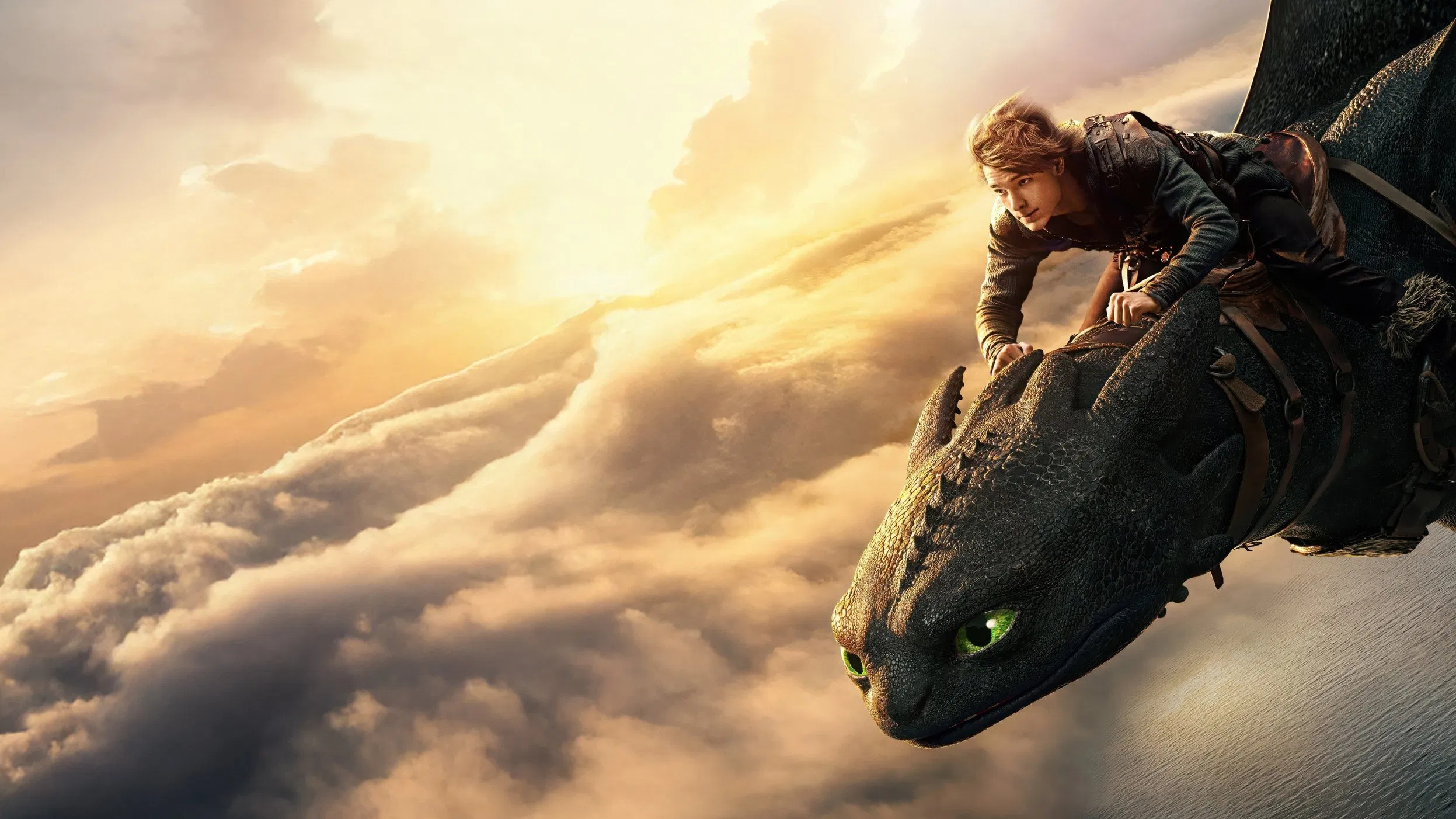 How to Train Your Dragon