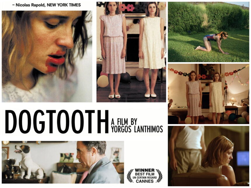 Dogtooth