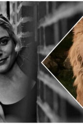 Greta Gerwig Narnia delays filming update