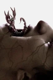 Shaman