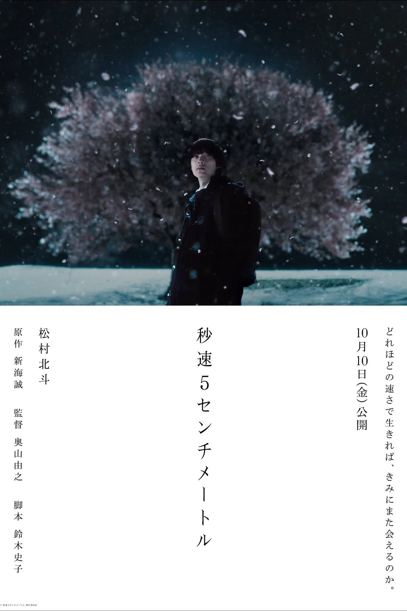 Centimeters Per Second Poster