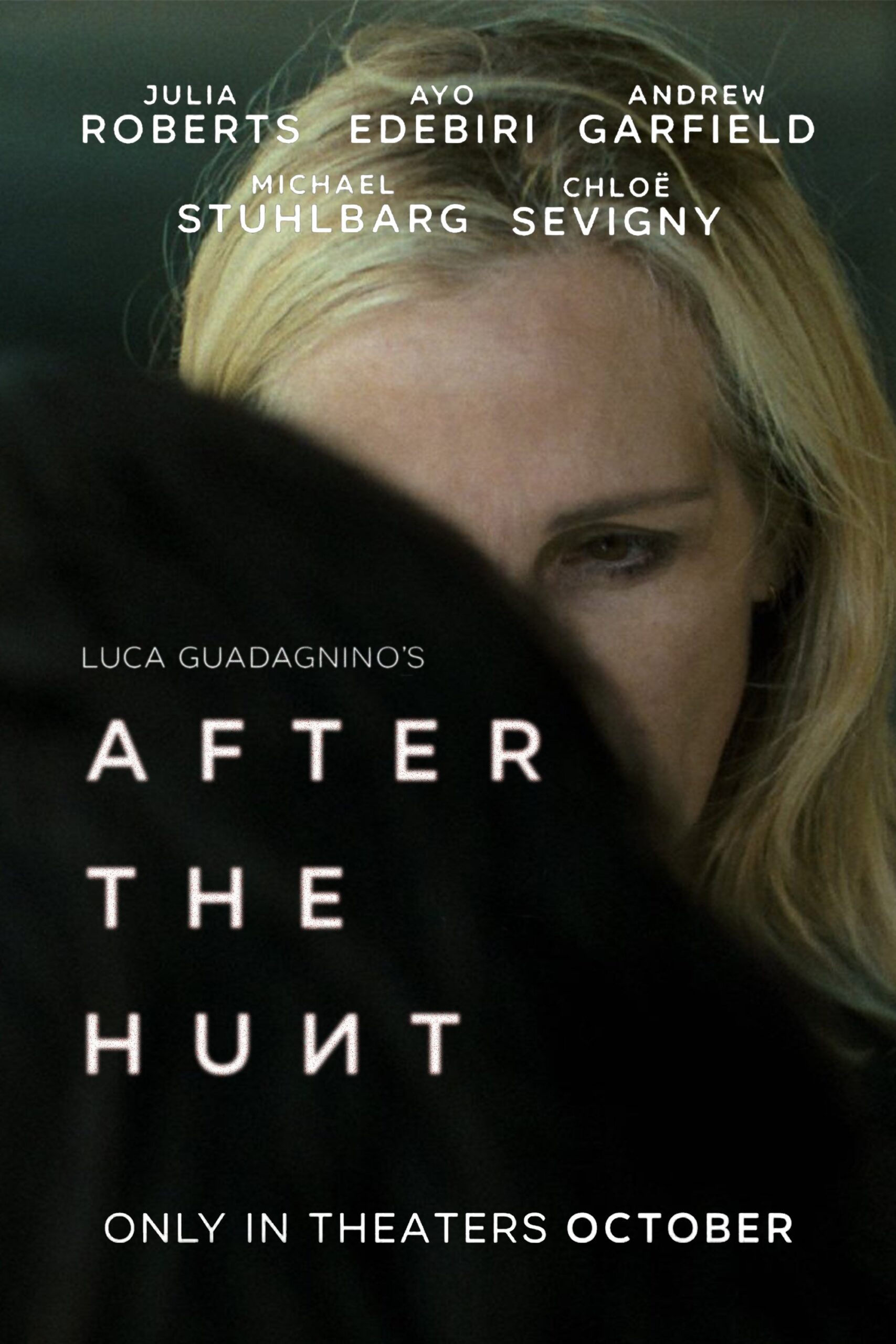 After the Hunt Poster
