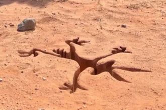 Coyote vs Acme