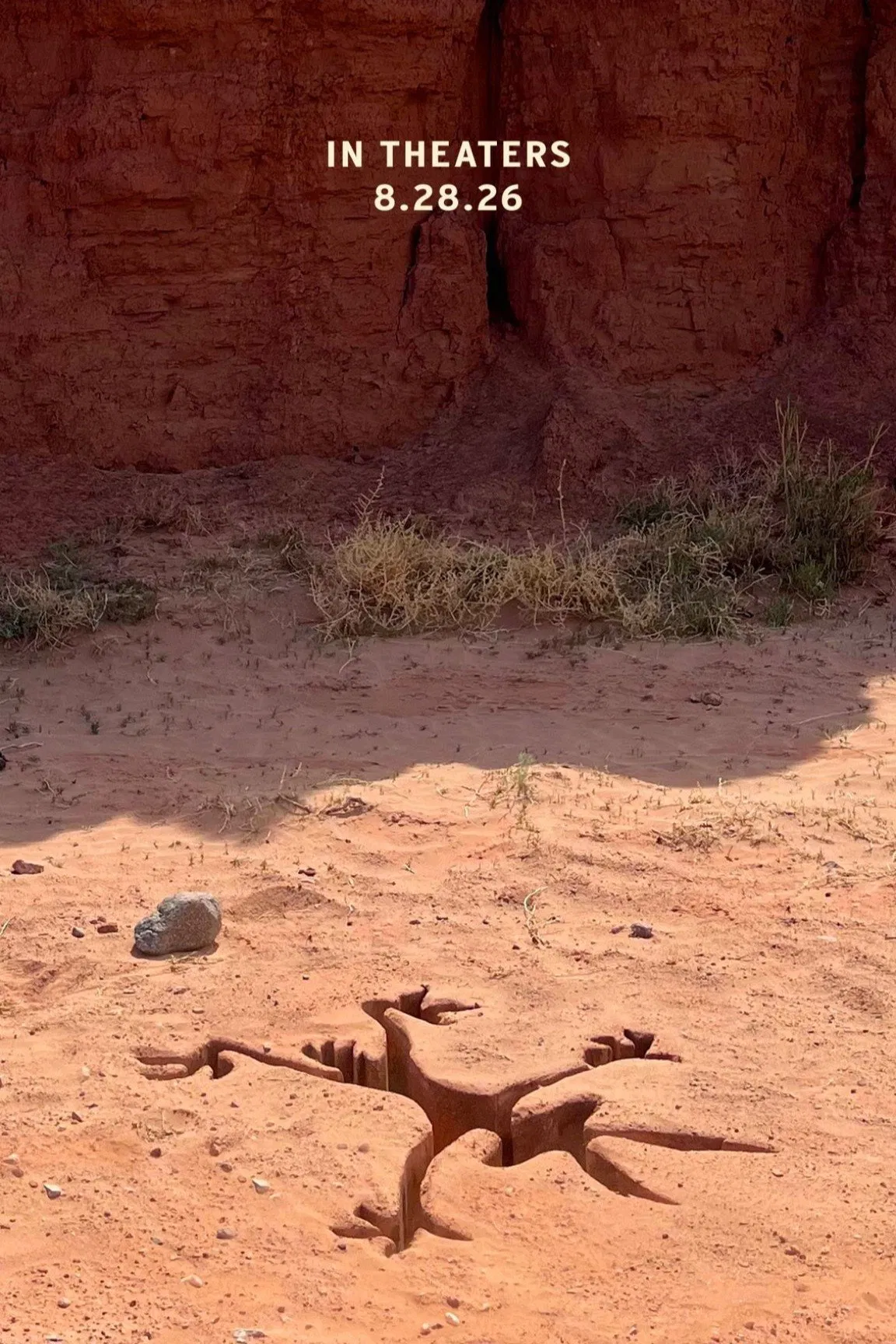 Coyote vs Acme Poster