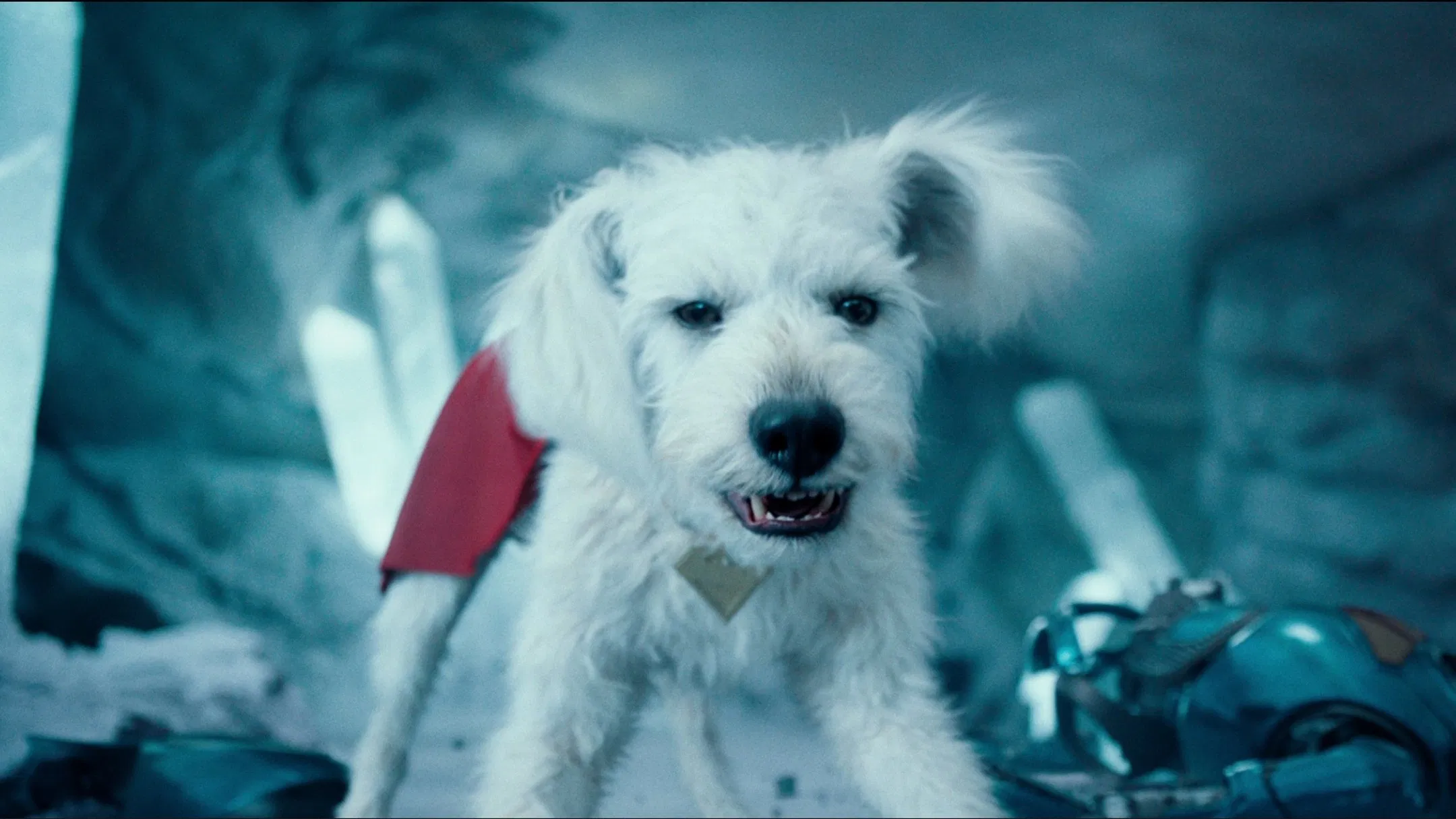 Krypto in Superman
