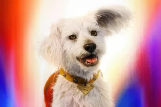 Krypto in Superman