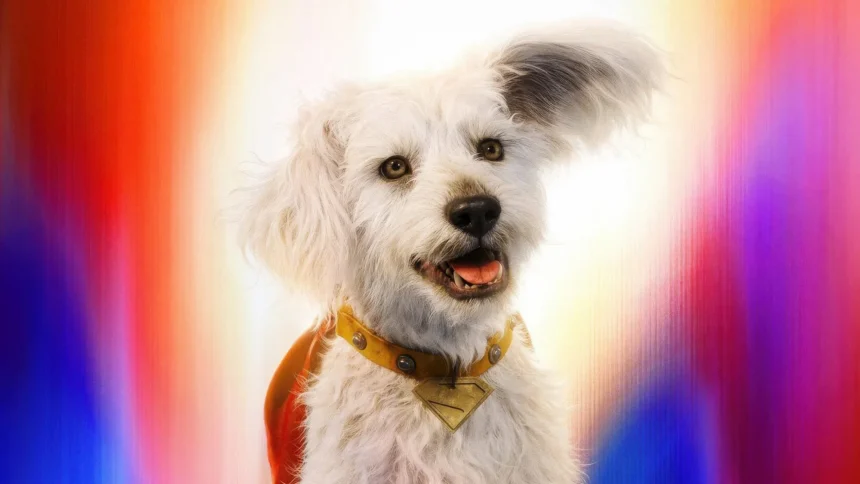 Krypto in Superman