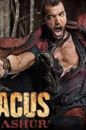 Spartacus House of Ashur