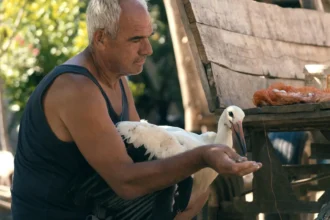 The Tale of Silyan photo